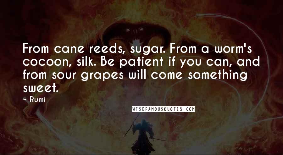 Rumi Quotes: From cane reeds, sugar. From a worm's cocoon, silk. Be patient if you can, and from sour grapes will come something sweet.