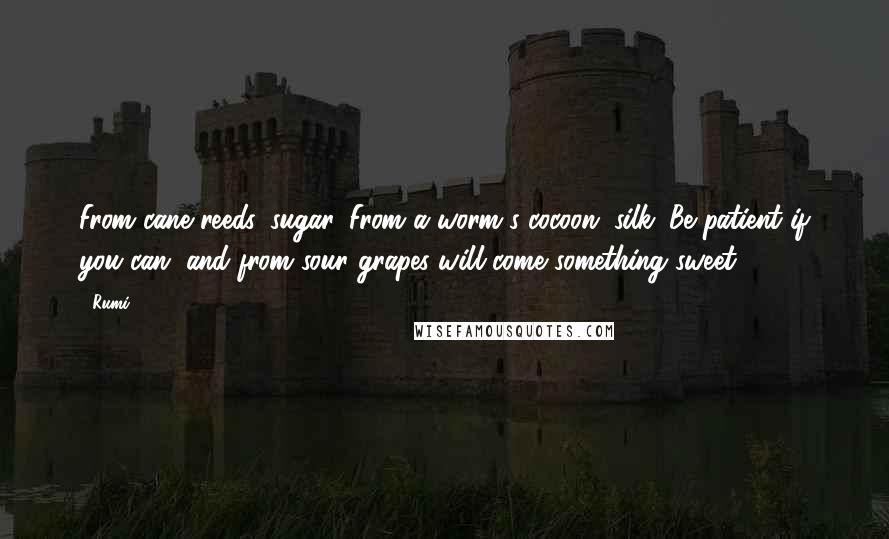 Rumi Quotes: From cane reeds, sugar. From a worm's cocoon, silk. Be patient if you can, and from sour grapes will come something sweet.