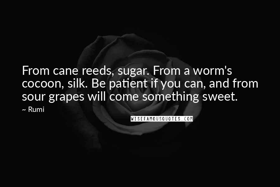 Rumi Quotes: From cane reeds, sugar. From a worm's cocoon, silk. Be patient if you can, and from sour grapes will come something sweet.