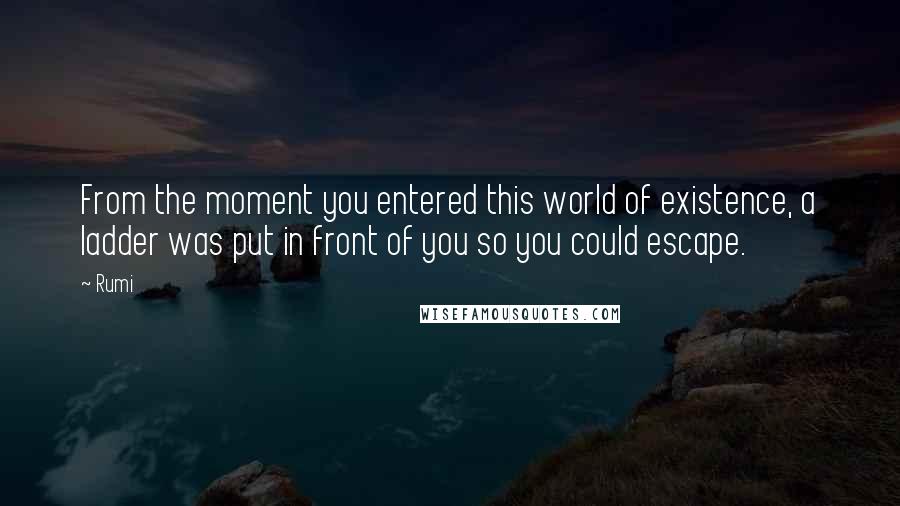 Rumi Quotes: From the moment you entered this world of existence, a ladder was put in front of you so you could escape.