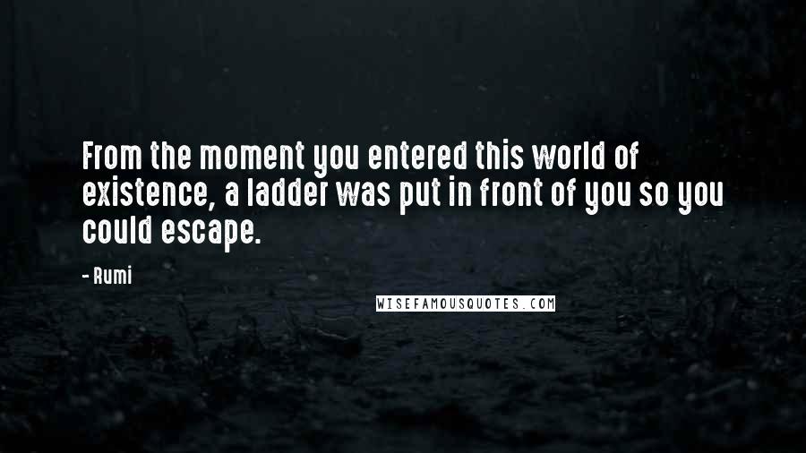 Rumi Quotes: From the moment you entered this world of existence, a ladder was put in front of you so you could escape.