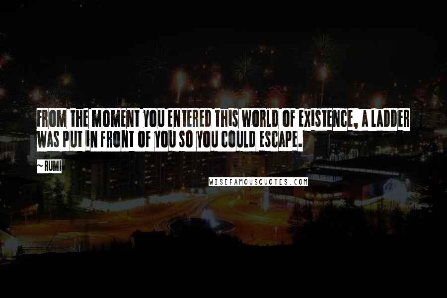 Rumi Quotes: From the moment you entered this world of existence, a ladder was put in front of you so you could escape.
