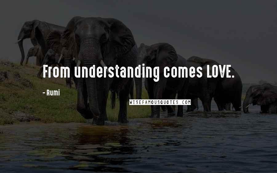 Rumi Quotes: From understanding comes LOVE.