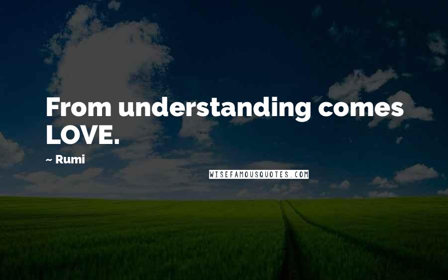 Rumi Quotes: From understanding comes LOVE.