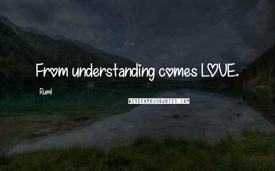 Rumi Quotes: From understanding comes LOVE.