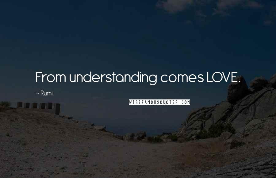 Rumi Quotes: From understanding comes LOVE.