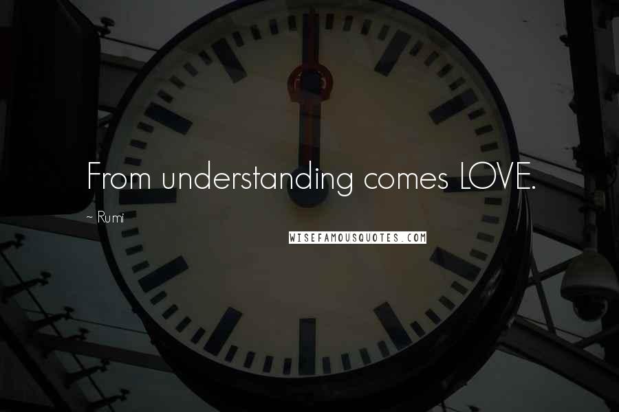 Rumi Quotes: From understanding comes LOVE.