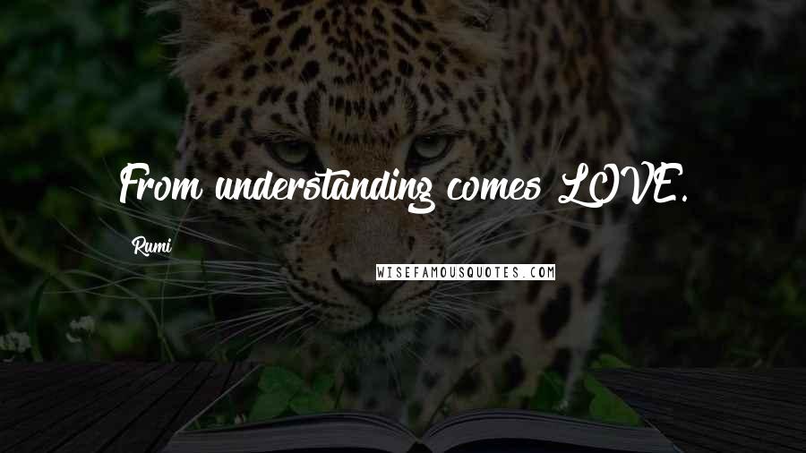 Rumi Quotes: From understanding comes LOVE.