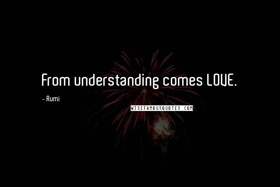 Rumi Quotes: From understanding comes LOVE.