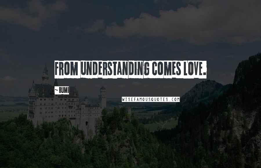 Rumi Quotes: From understanding comes LOVE.