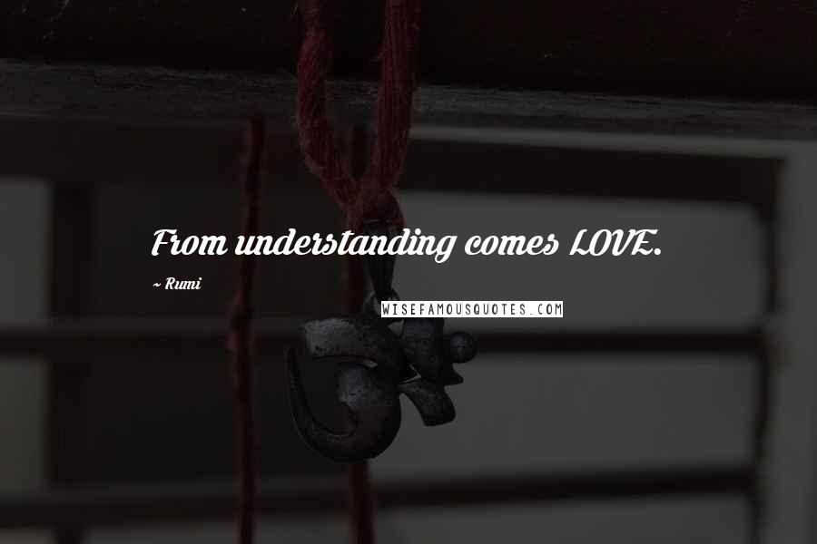 Rumi Quotes: From understanding comes LOVE.