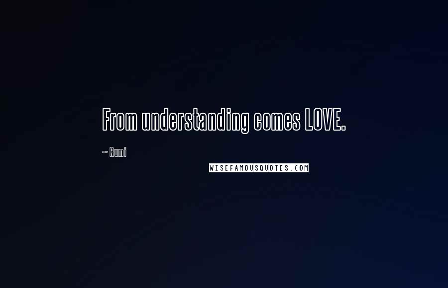 Rumi Quotes: From understanding comes LOVE.