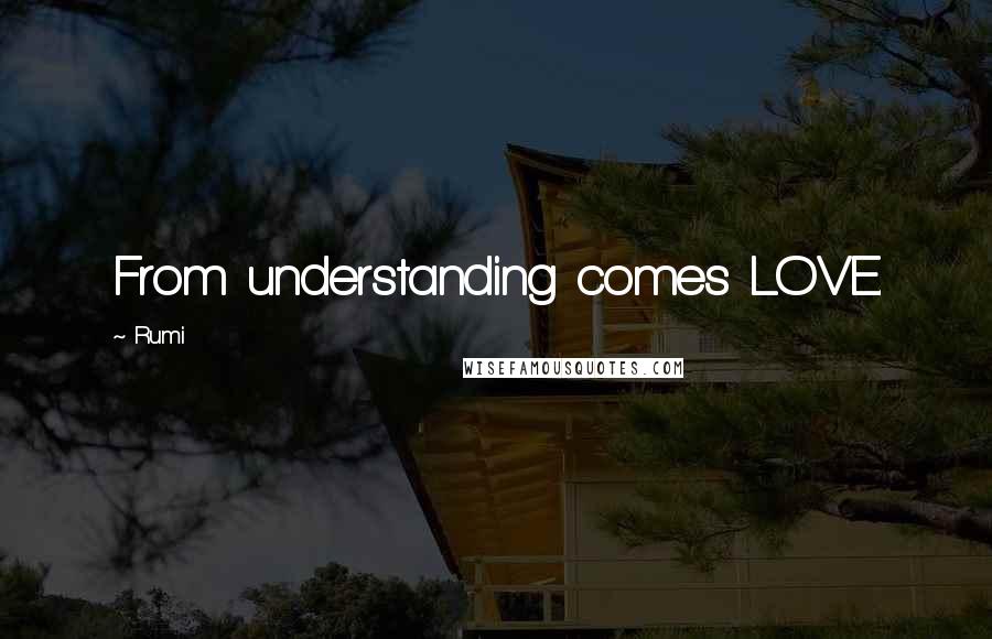 Rumi Quotes: From understanding comes LOVE.