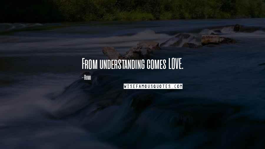 Rumi Quotes: From understanding comes LOVE.