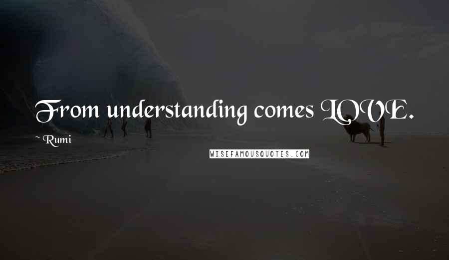 Rumi Quotes: From understanding comes LOVE.