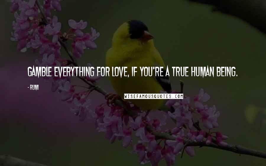 Rumi Quotes: Gamble everything for love, if you're a true human being.