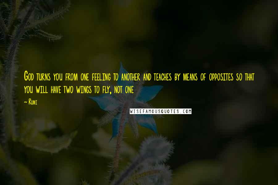 Rumi Quotes: God turns you from one feeling to another and teaches by means of opposites so that you will have two wings to fly, not one