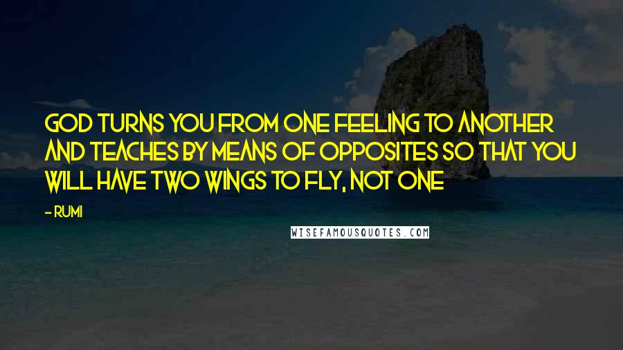 Rumi Quotes: God turns you from one feeling to another and teaches by means of opposites so that you will have two wings to fly, not one