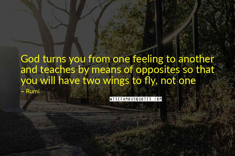 Rumi Quotes: God turns you from one feeling to another and teaches by means of opposites so that you will have two wings to fly, not one