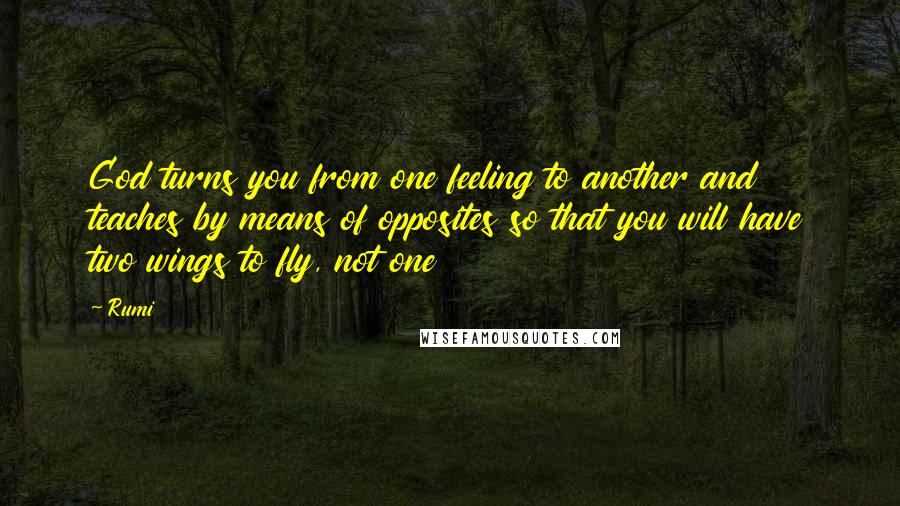 Rumi Quotes: God turns you from one feeling to another and teaches by means of opposites so that you will have two wings to fly, not one