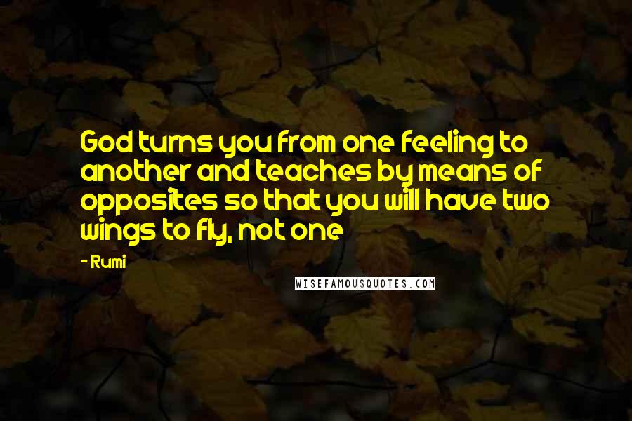 Rumi Quotes: God turns you from one feeling to another and teaches by means of opposites so that you will have two wings to fly, not one