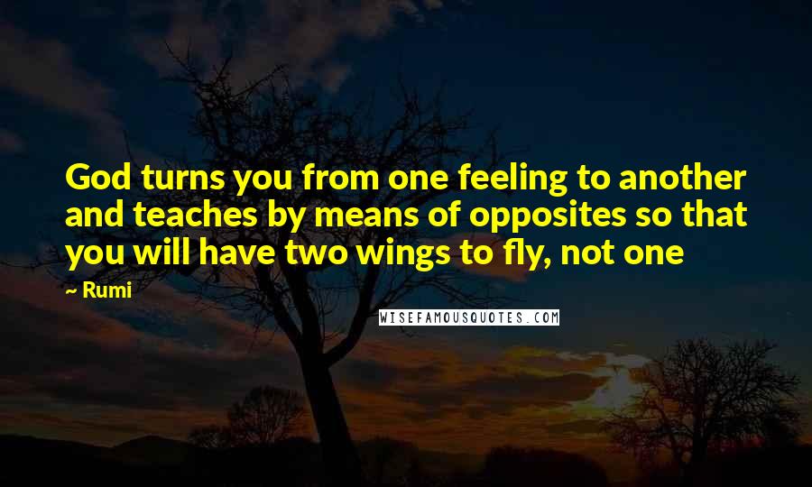 Rumi Quotes: God turns you from one feeling to another and teaches by means of opposites so that you will have two wings to fly, not one