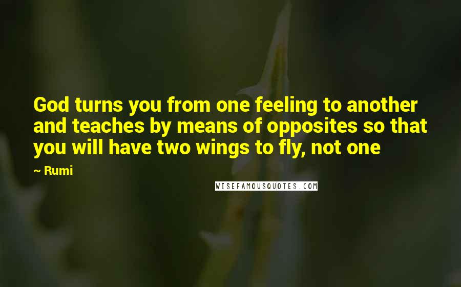 Rumi Quotes: God turns you from one feeling to another and teaches by means of opposites so that you will have two wings to fly, not one