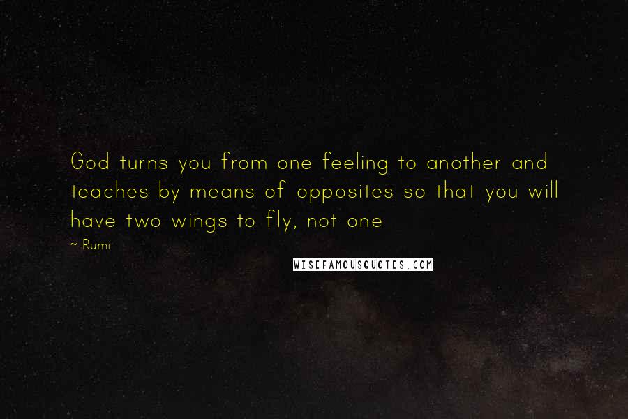 Rumi Quotes: God turns you from one feeling to another and teaches by means of opposites so that you will have two wings to fly, not one