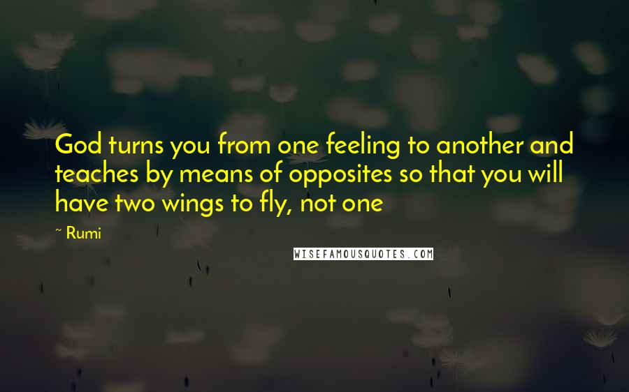 Rumi Quotes: God turns you from one feeling to another and teaches by means of opposites so that you will have two wings to fly, not one