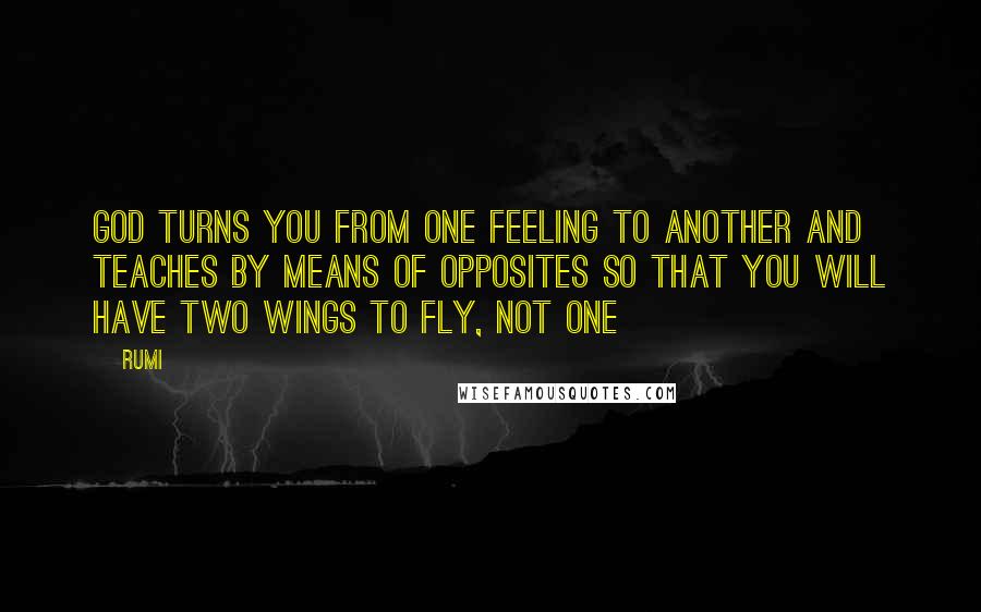 Rumi Quotes: God turns you from one feeling to another and teaches by means of opposites so that you will have two wings to fly, not one