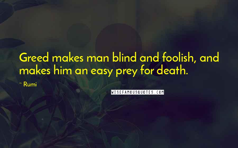 Rumi Quotes: Greed makes man blind and foolish, and makes him an easy prey for death.