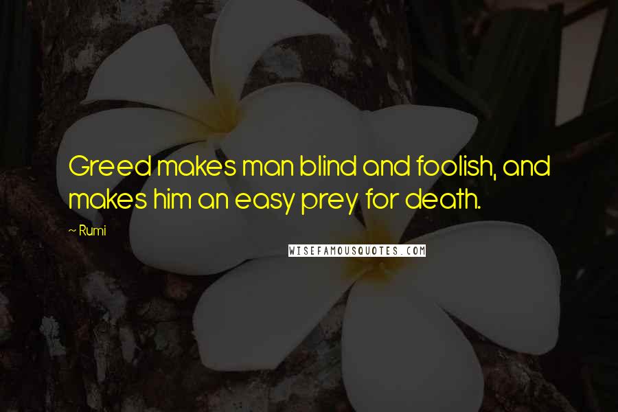 Rumi Quotes: Greed makes man blind and foolish, and makes him an easy prey for death.