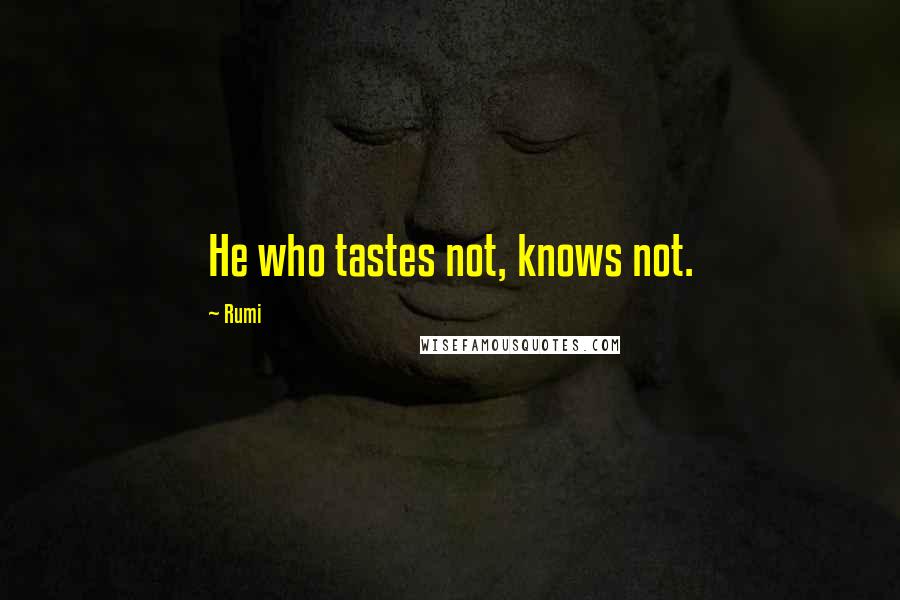 Rumi Quotes: He who tastes not, knows not.