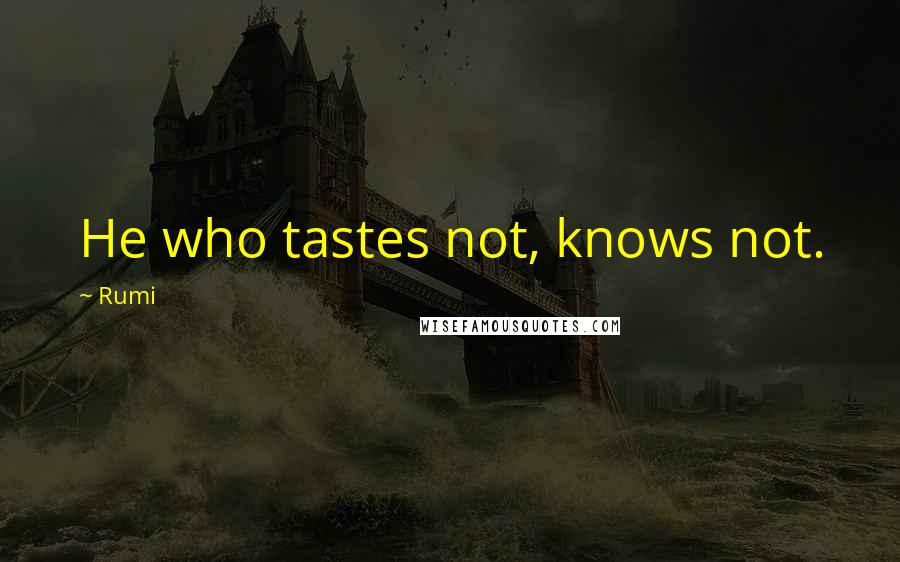 Rumi Quotes: He who tastes not, knows not.