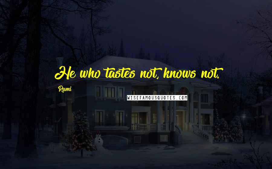 Rumi Quotes: He who tastes not, knows not.