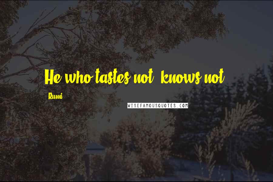 Rumi Quotes: He who tastes not, knows not.