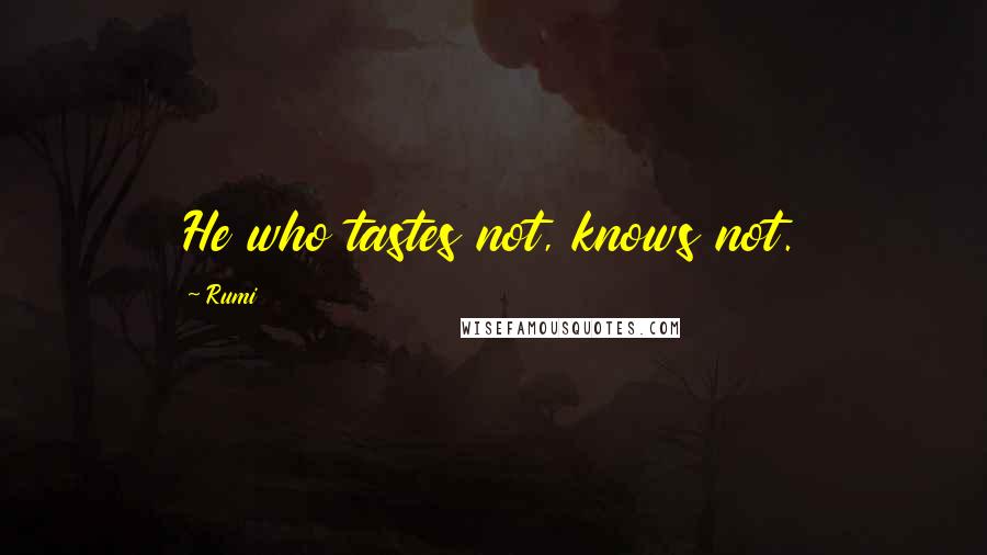 Rumi Quotes: He who tastes not, knows not.