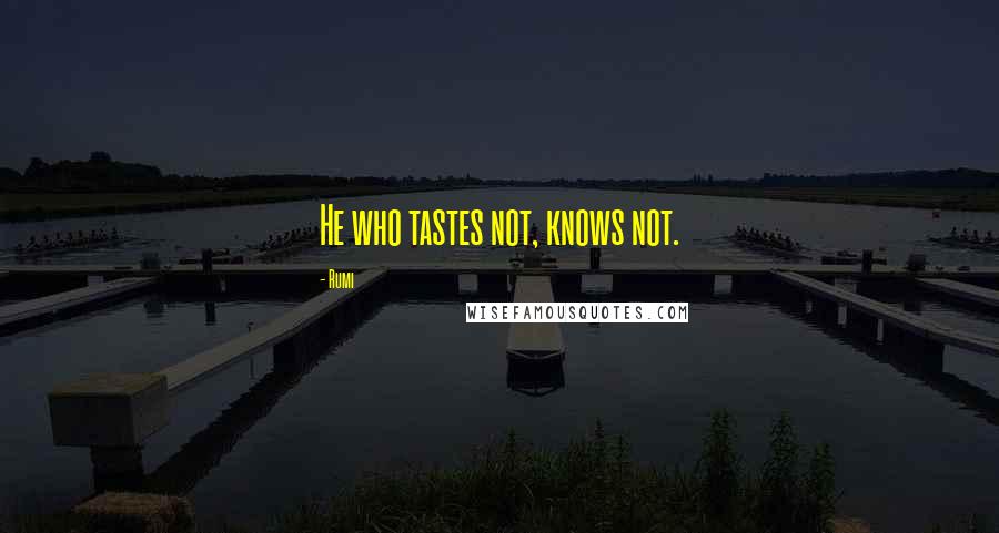 Rumi Quotes: He who tastes not, knows not.
