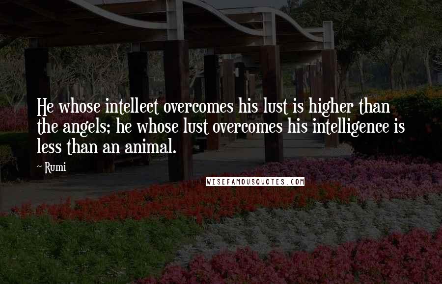 Rumi Quotes: He whose intellect overcomes his lust is higher than the angels; he whose lust overcomes his intelligence is less than an animal.