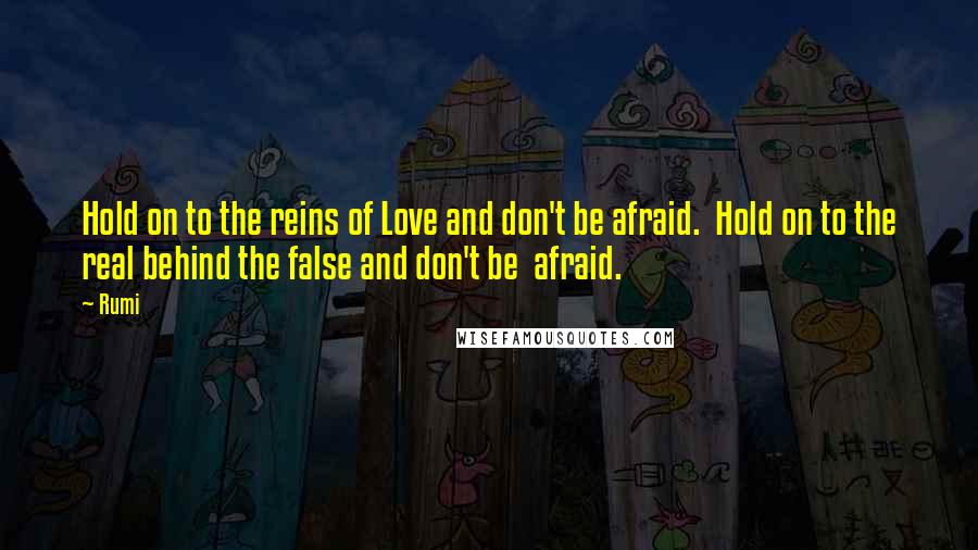 Rumi Quotes: Hold on to the reins of Love and don't be afraid. Hold on to the real behind the false and don't be afraid.
