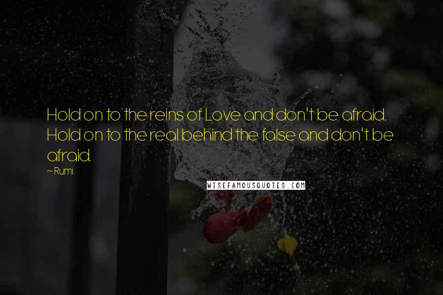 Rumi Quotes: Hold on to the reins of Love and don't be afraid. Hold on to the real behind the false and don't be afraid.