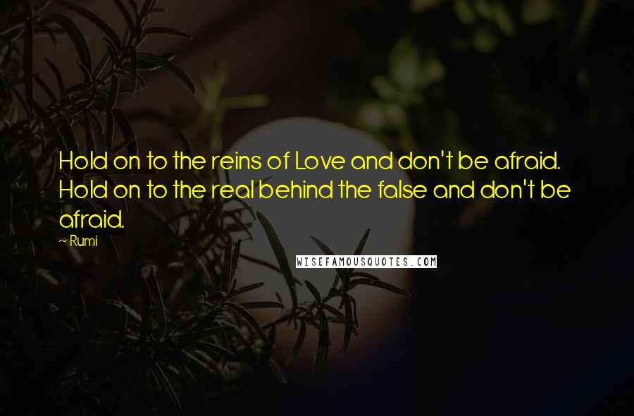 Rumi Quotes: Hold on to the reins of Love and don't be afraid. Hold on to the real behind the false and don't be afraid.