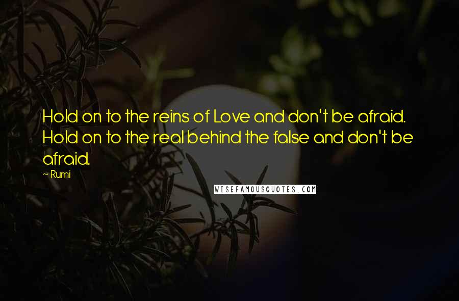 Rumi Quotes: Hold on to the reins of Love and don't be afraid.  Hold on to the real behind the false and don't be  afraid.