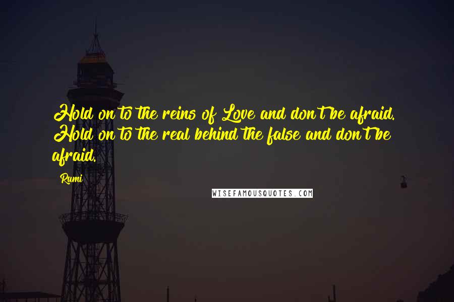 Rumi Quotes: Hold on to the reins of Love and don't be afraid. Hold on to the real behind the false and don't be afraid.