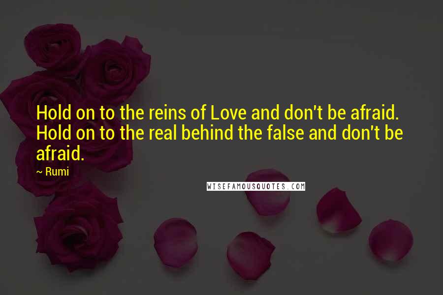 Rumi Quotes: Hold on to the reins of Love and don't be afraid.  Hold on to the real behind the false and don't be  afraid.