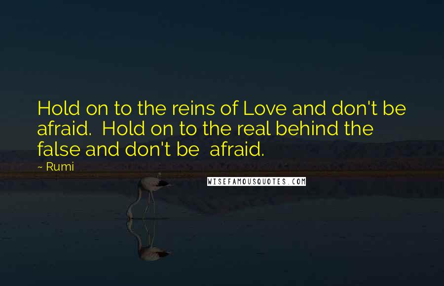 Rumi Quotes: Hold on to the reins of Love and don't be afraid. Hold on to the real behind the false and don't be afraid.
