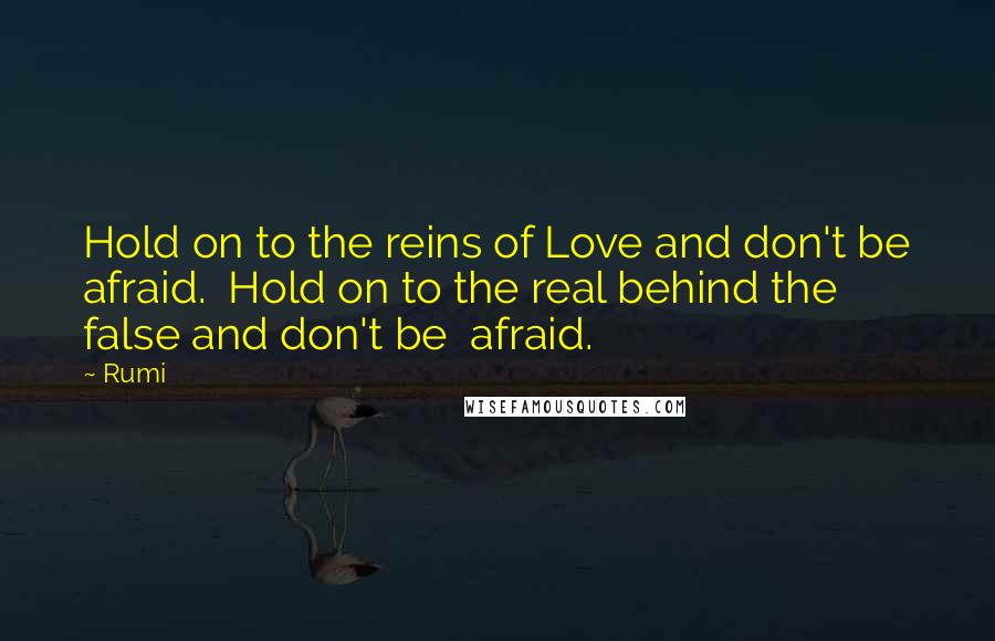 Rumi Quotes: Hold on to the reins of Love and don't be afraid.  Hold on to the real behind the false and don't be  afraid.