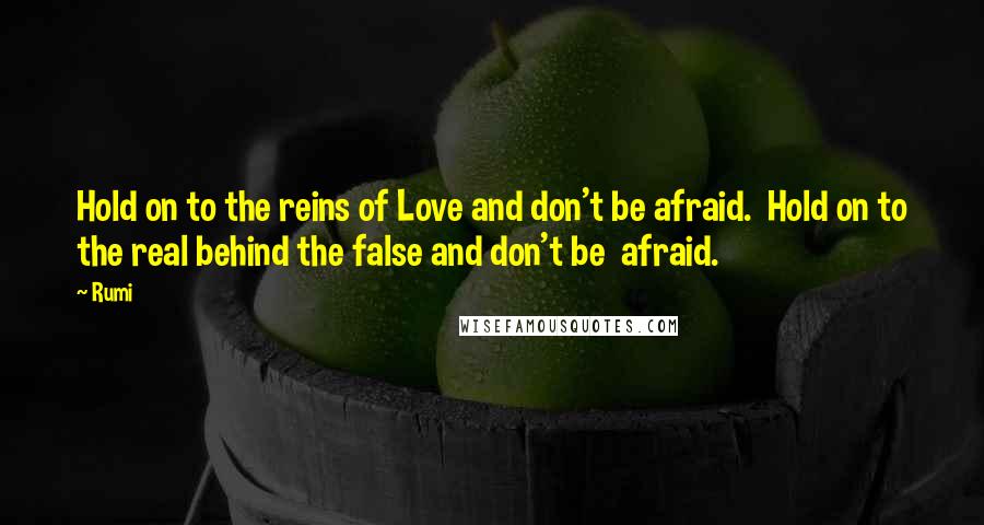 Rumi Quotes: Hold on to the reins of Love and don't be afraid. Hold on to the real behind the false and don't be afraid.