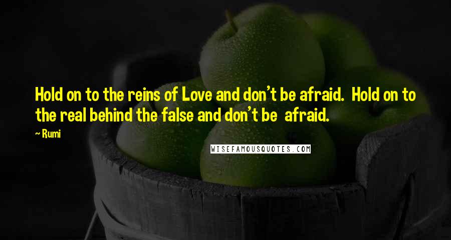 Rumi Quotes: Hold on to the reins of Love and don't be afraid.  Hold on to the real behind the false and don't be  afraid.