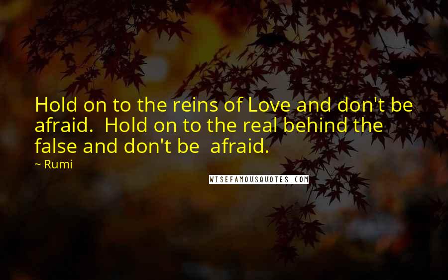 Rumi Quotes: Hold on to the reins of Love and don't be afraid. Hold on to the real behind the false and don't be afraid.